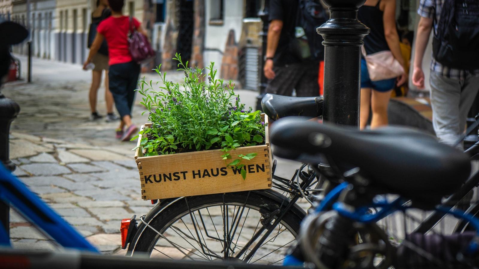 Die Kunst‍ des Grillens verstehen ‌und beherrschen